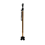 Falcon Walking Stick, Quadruped Tip